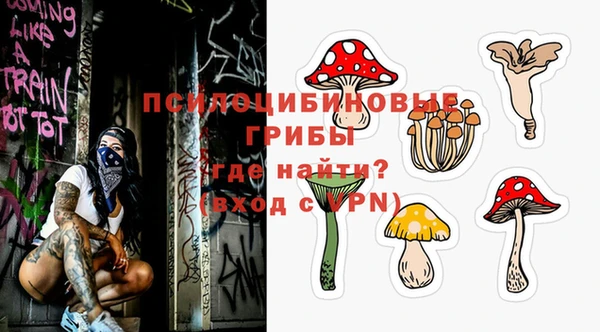 гидра Алексеевка